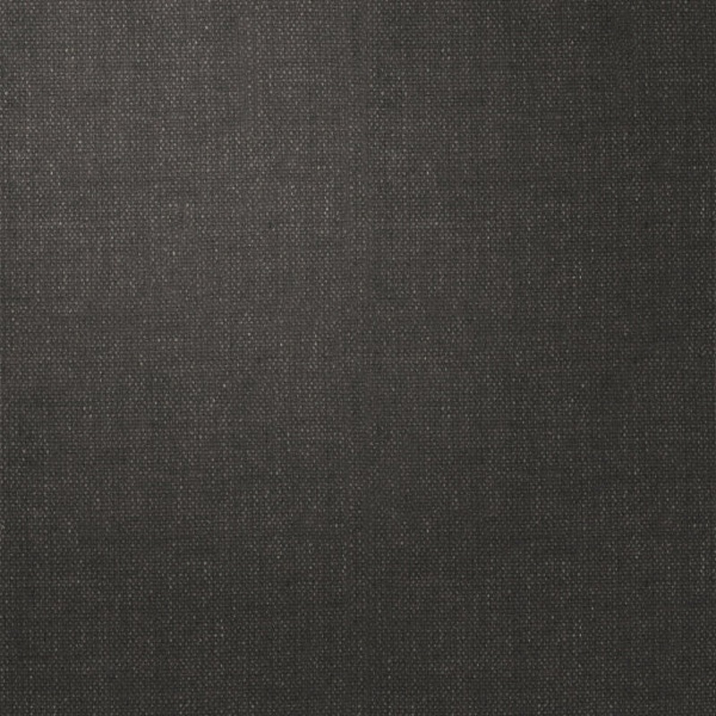 Remnant of Momentum Regal Warrior Upholstery Fabric