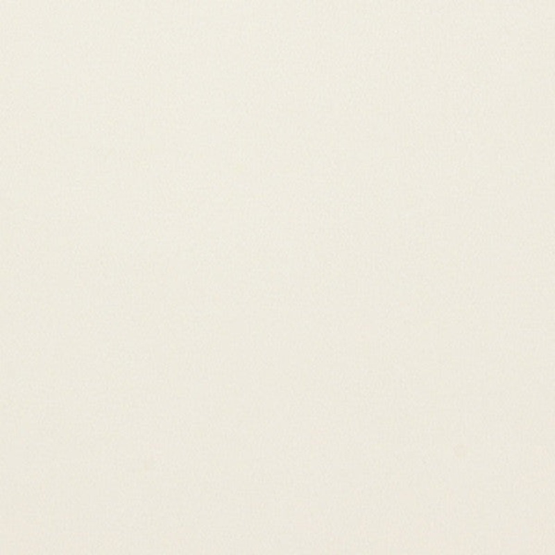 Remnant of Momentum Silica Lotus White Vinyl