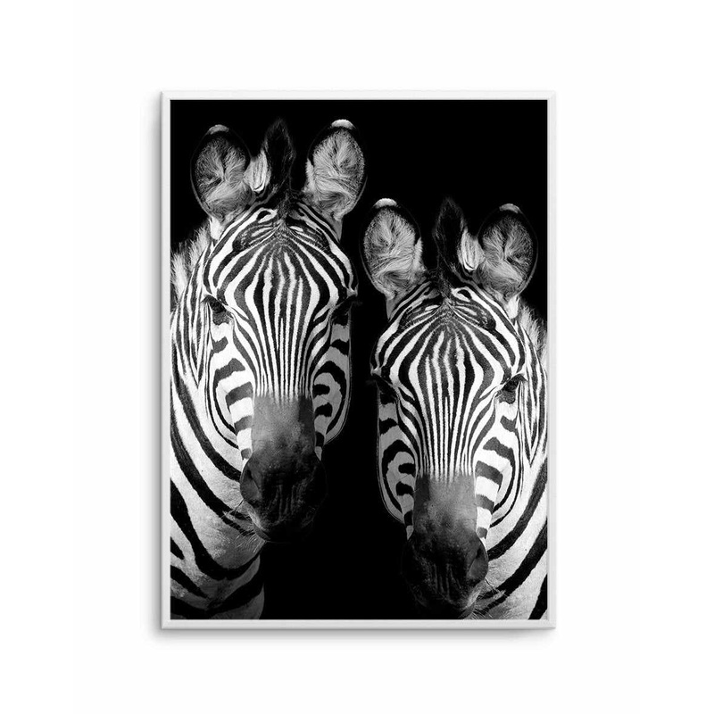Zebra De Nuit | PT Art Print