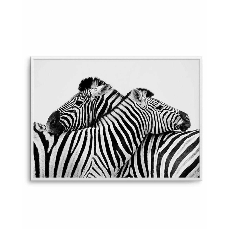 Zebras Embrace | LS Art Print