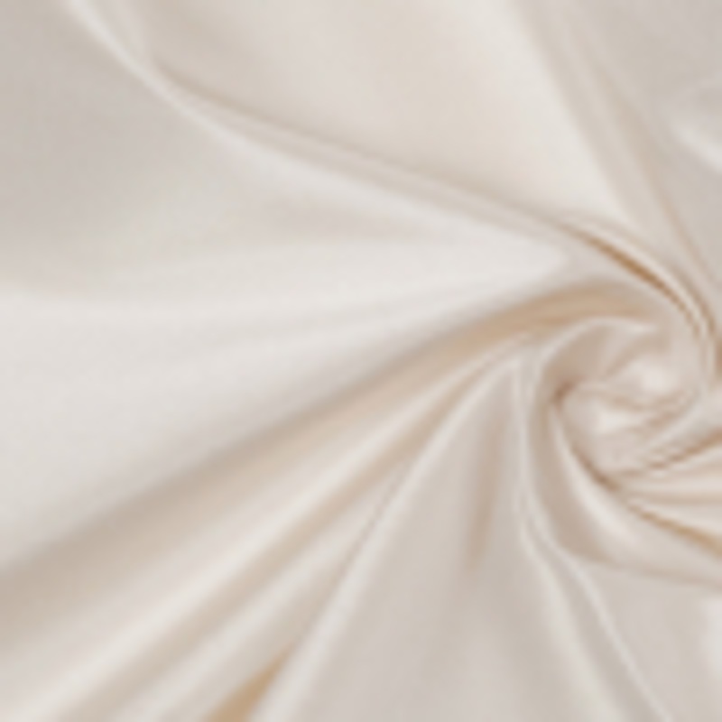 Vera Wang Bridal Beige Silk Taffeta
