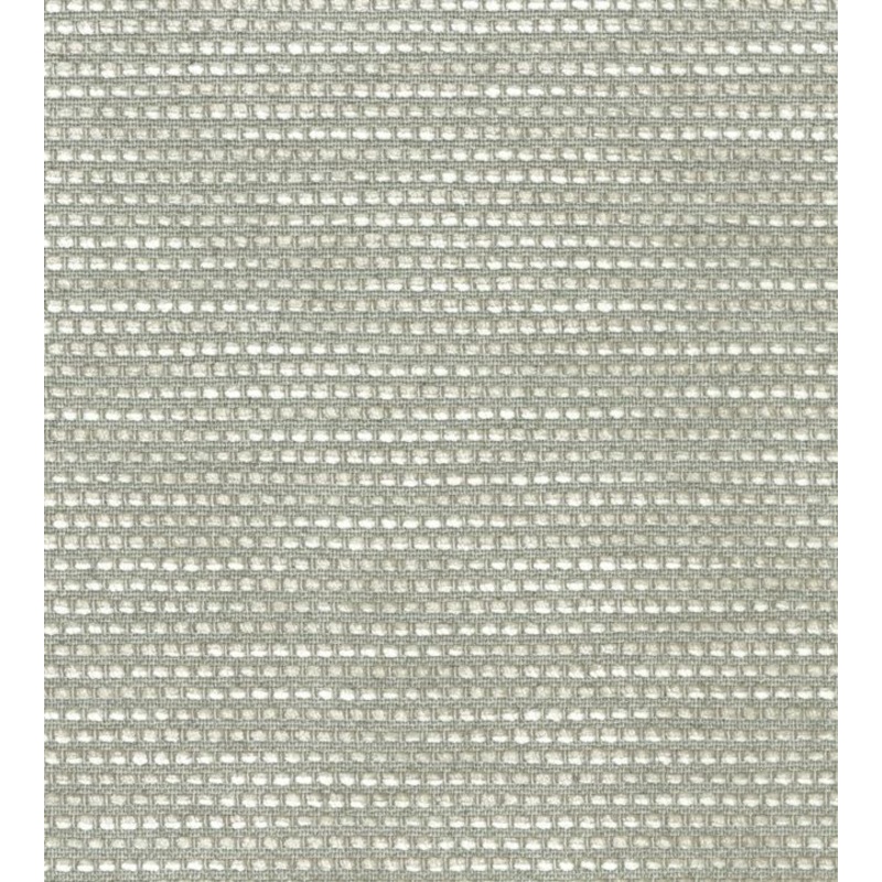 Zamba Fabric
