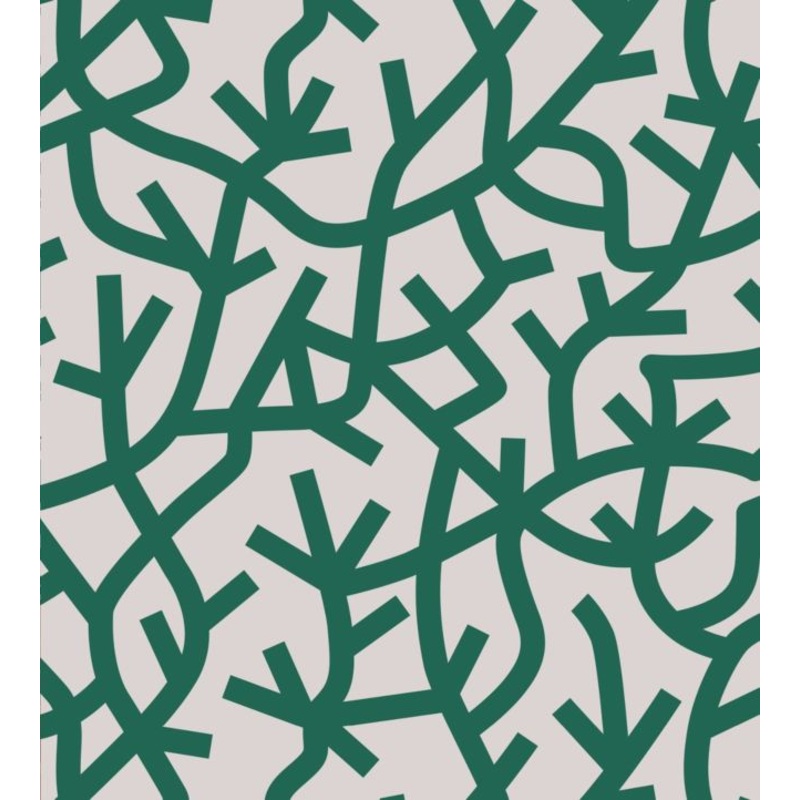 A Forest Wallpaper