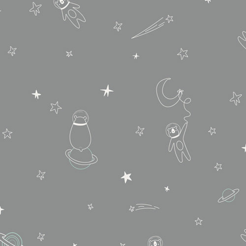 Art Gallery Capsules Stargazer To Bearfinity & Beyond! Grey CAP-ST-1104