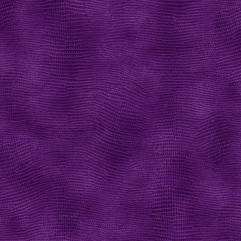 Equipose Violet