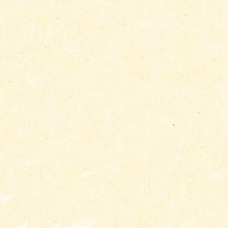 118" Kona Premium Muslin Quilt Backing Fabric - Natural - K054-1242